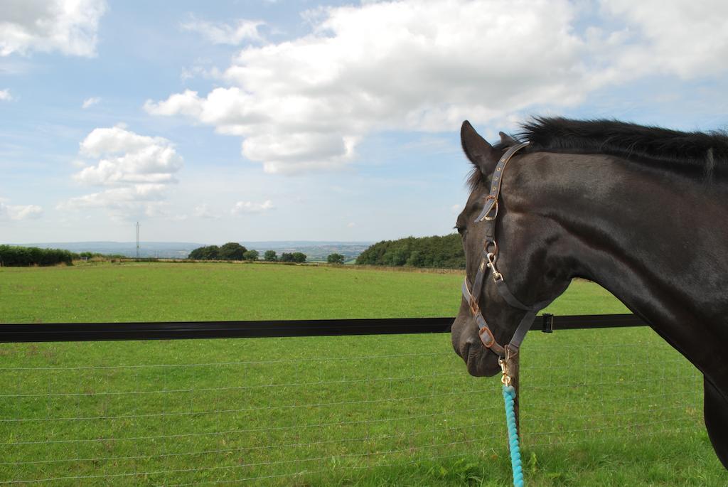 Bed and Breakfast Toghill House Farm Wick  Exterior foto